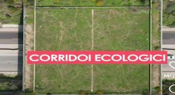 Corridoi ecologici per animali, come funzionano