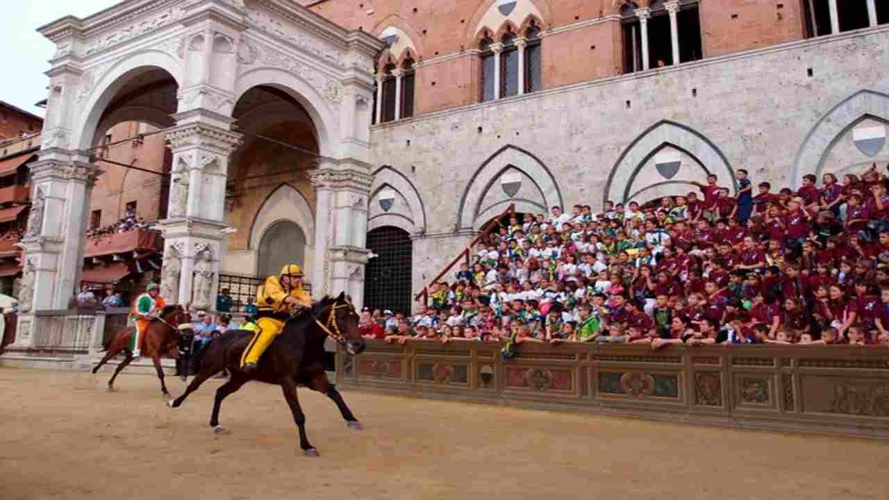 Cavalli del Palio, soffrono nell'affrontare la gara o sono tranquilli