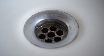 Frutta piena di insetti (invisibili), non basta l’acqua per rimuoverli: ti diciamo cosa fare