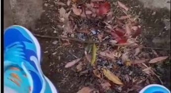 Un uccello cinguetta ad una ragazza, lei lo segue scoprendo che…