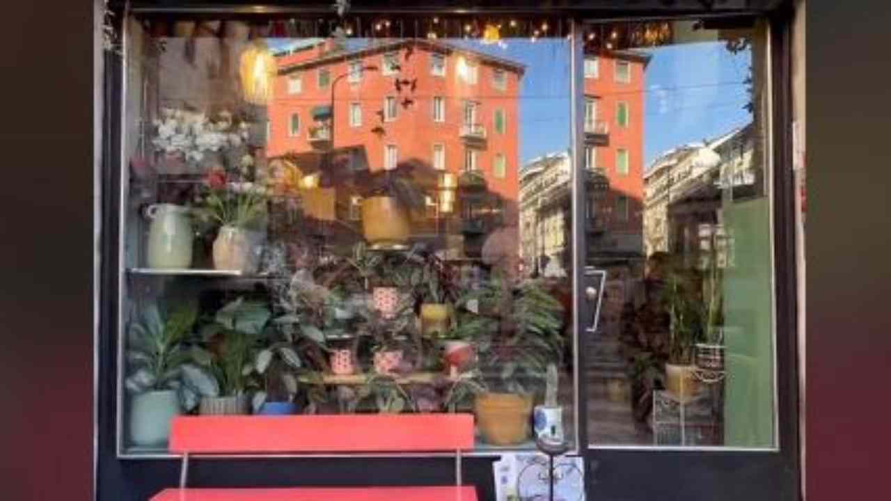 Chi ama i fiori deve conoscere questo posto dove si prende il caffè in mezzo a meraviglie naturali