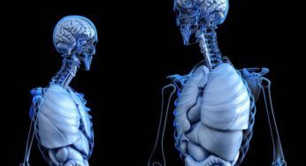 Morte, scoperta senza precedenti: analizzati cervelli, il risultato è da film