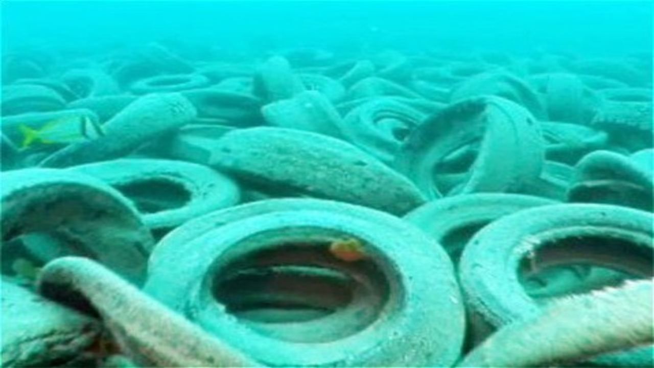 cimitero gomme Oceano perchè