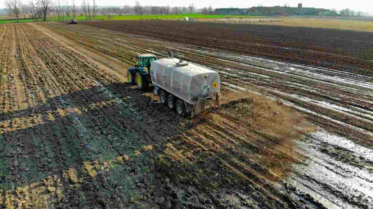 Concimi liquidi per le piante