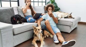 Come eliminare velocemente la puzza di cane in casa: il metodo segreto che tutti dovrebbero conoscere