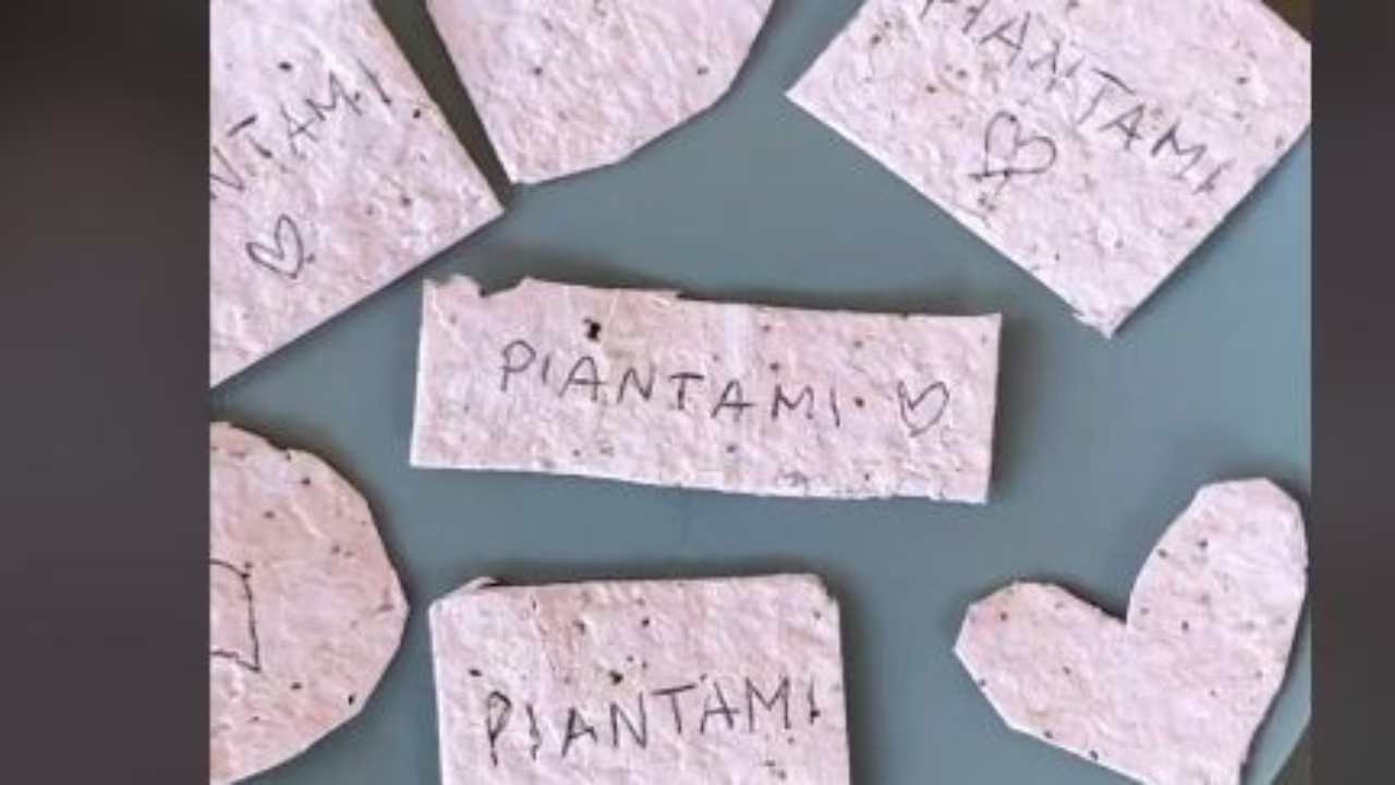 Foglietti piantabili: regala un pezzetto di carta con scritto "piantami" da cui uscirà un fiore