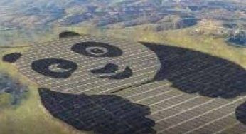 È il parco solare più bello del mondo, è a forma di panda e si trova in Cina