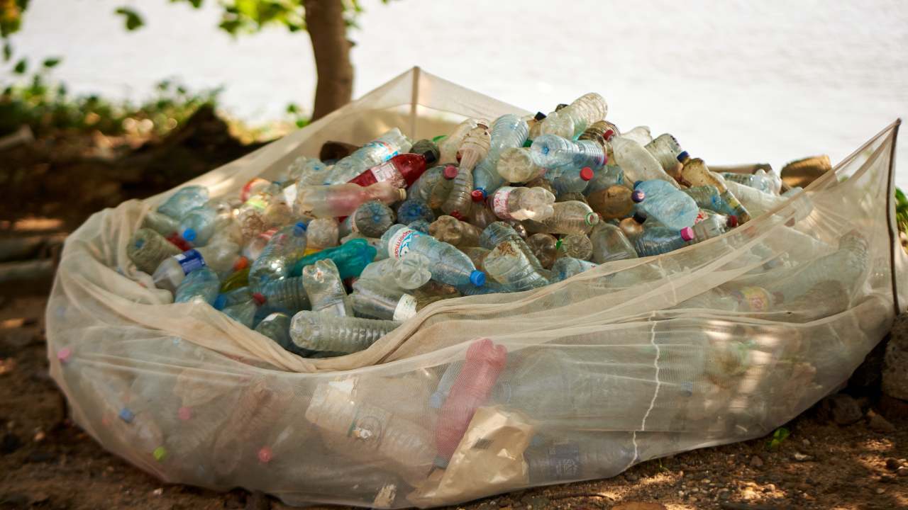 Mangiamo i nostri rifiuti, soprattutto quelli che gettiamo in mare