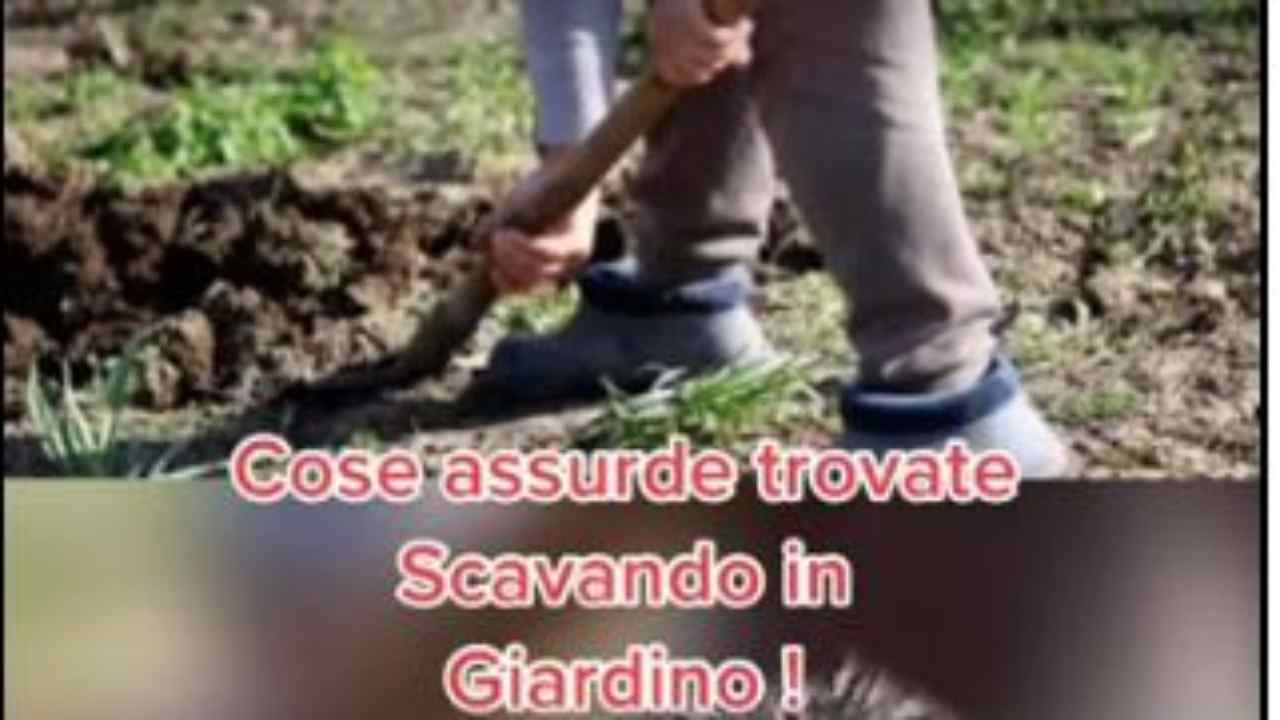 Cose assurde e rare trovate scavando in giardino