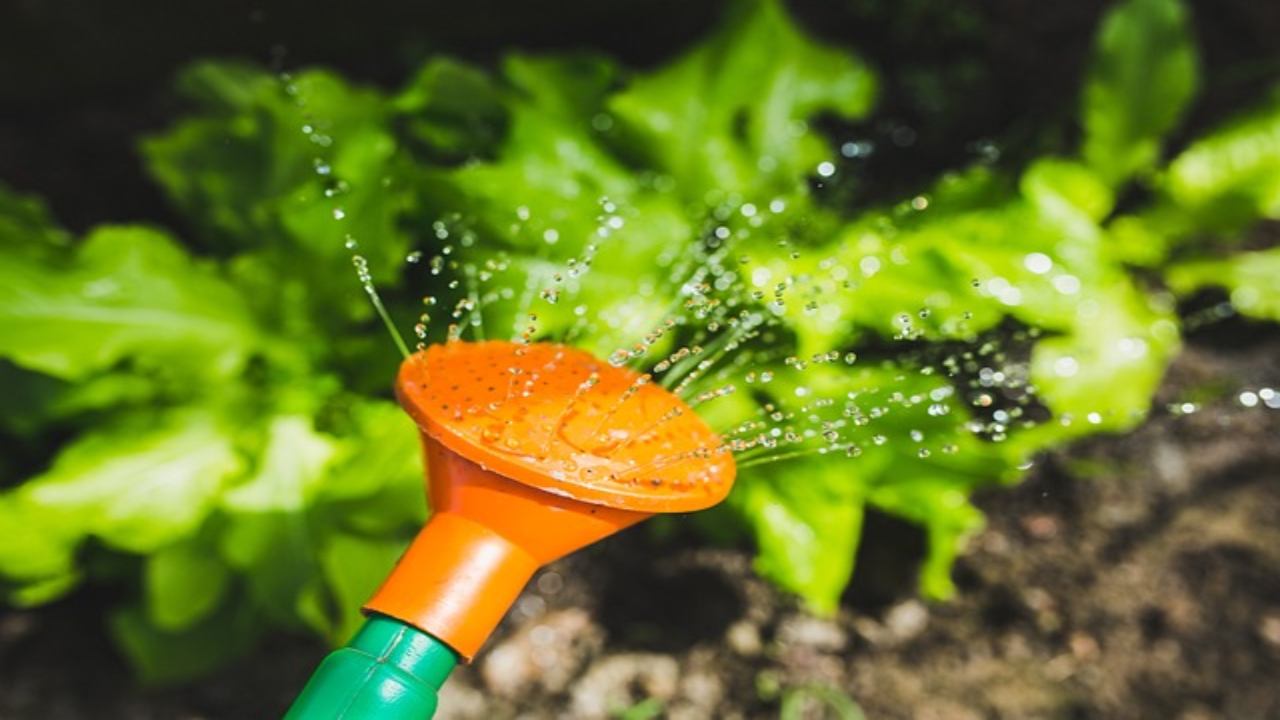 una soluzione unica: l'impianto di irrigazione per i balconi