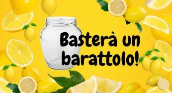 Avrai centinaia di limoni grazie ad un barattolo: la tecnica non è più un segreto