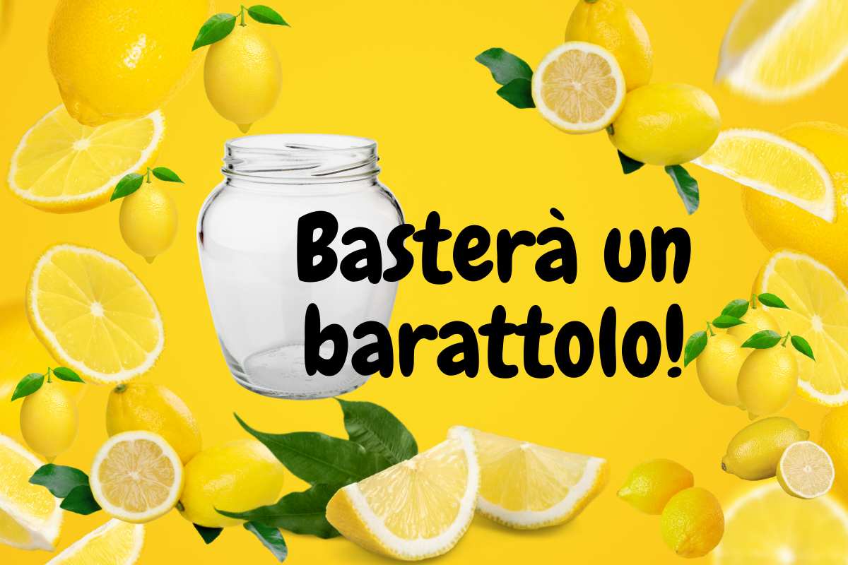 limone in barattolo