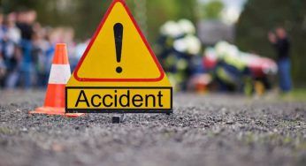 Incidente con un cane randagio: chi paga i danni?