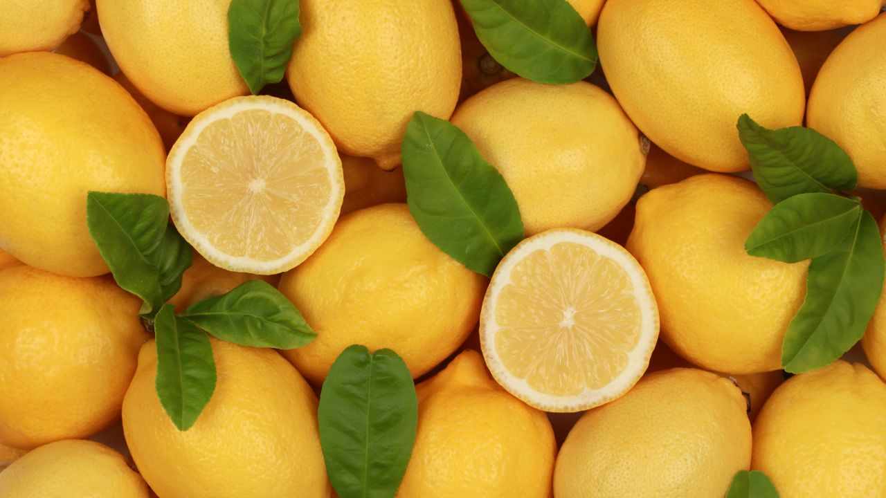 limoni