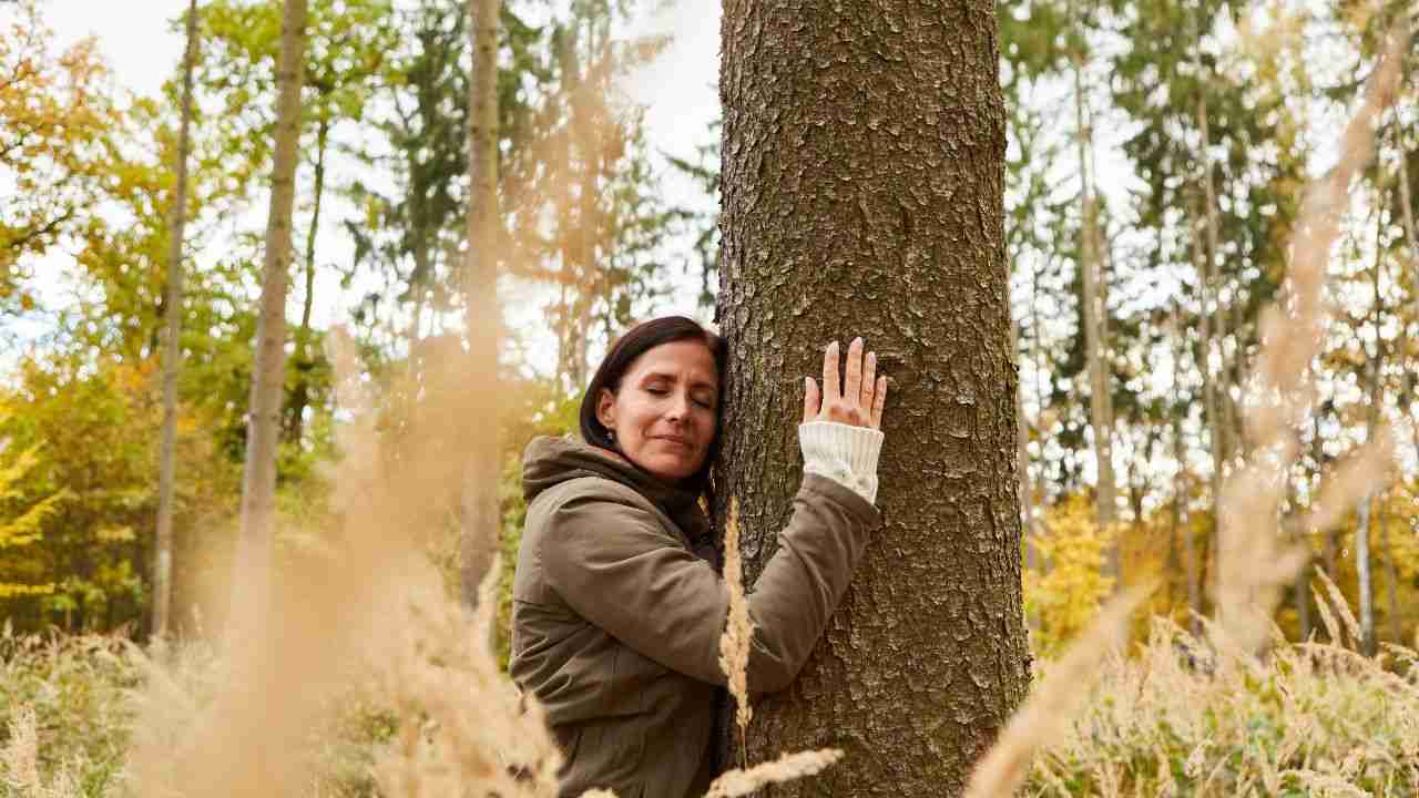 Forest bathing cosa è benefici