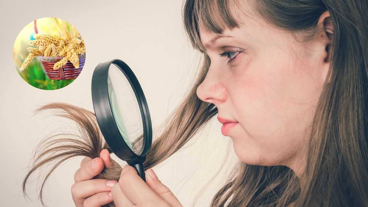 Capelli fragili miglio perchè assumerlo