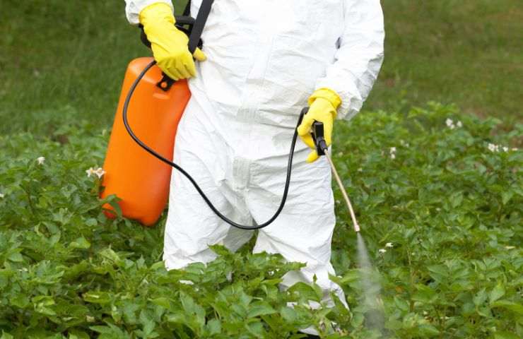 Spruzzare pesticida sui campi