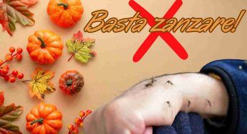 Ancora zanzare, il modo efficace per sbarazzarsene in autunno