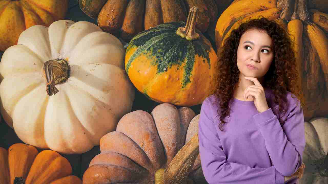 Come scegliere la varietà di zucca più buona e non sbagliare mai