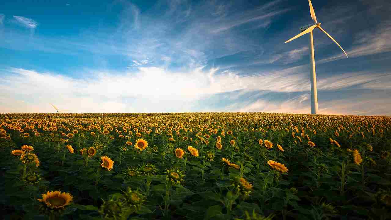 energia vento domestica solo in zone con vento forte e costante