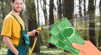 Qual è lo stipendio medio di un giardiniere? Non l’avresti mai detto