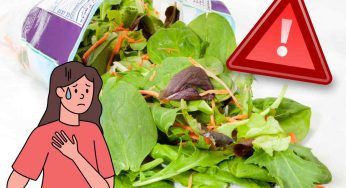 Insalata in busta, non è sempre la soluzione più sicura | Il motivo