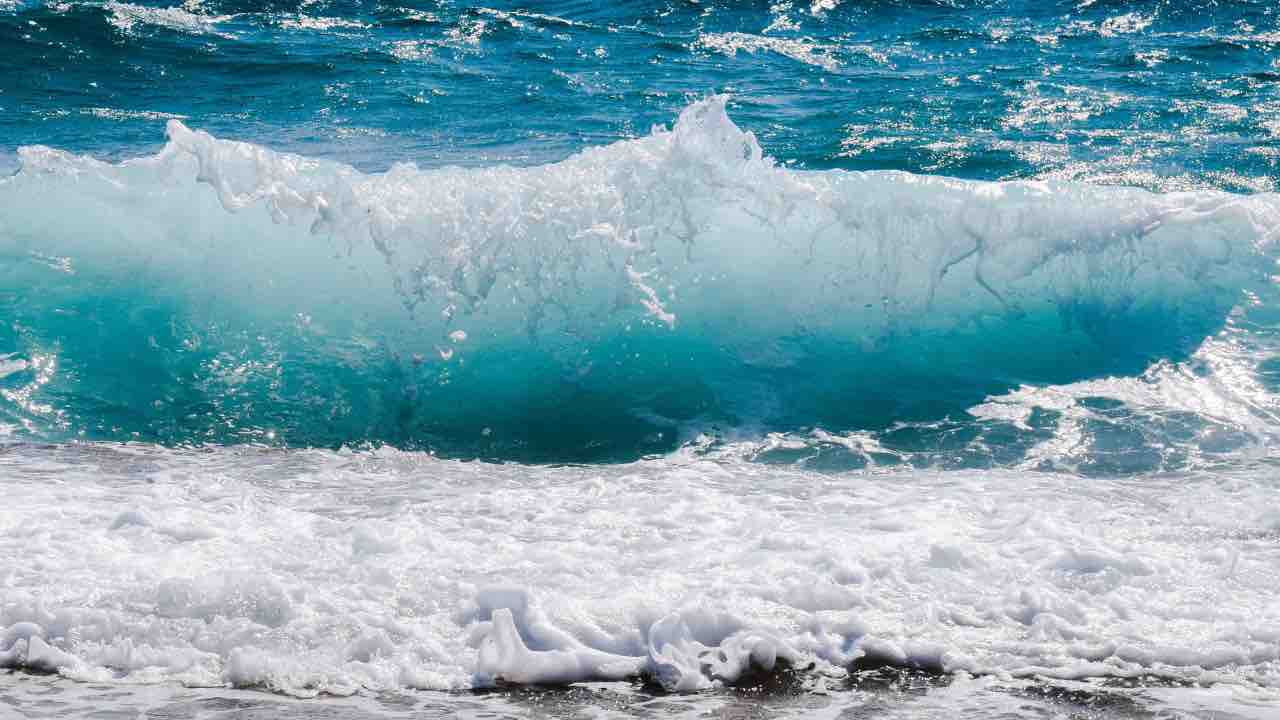 energia tratta da salinità acqua