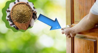 Hai mai messo del pepe fuori dalla porta di casa? Scoperto il motivo lo vorrai fare sempre