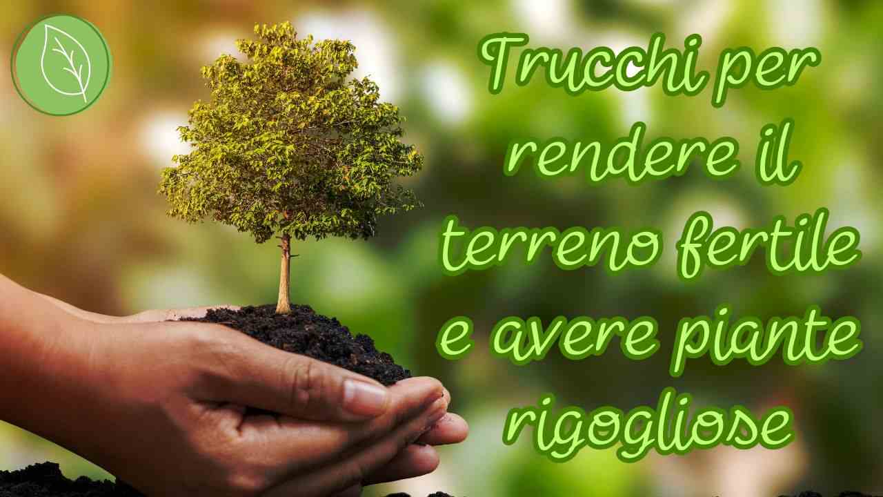 aumentare fertilità terreno