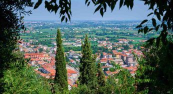 Più alberi in città, arrivano nuovi fondi per i Comuni