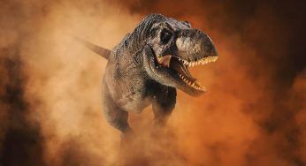 T-Rex, con analisi su nuovi resti ritrovati forse tutto ciò che sappiamo cambierà
