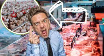 Nuova protesta contro i supermercati di una nota catena: maltrattano gli animali, l’accusa
