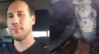 Si uccide facendosi mordere da un cobra: la motivazione mette i brividi