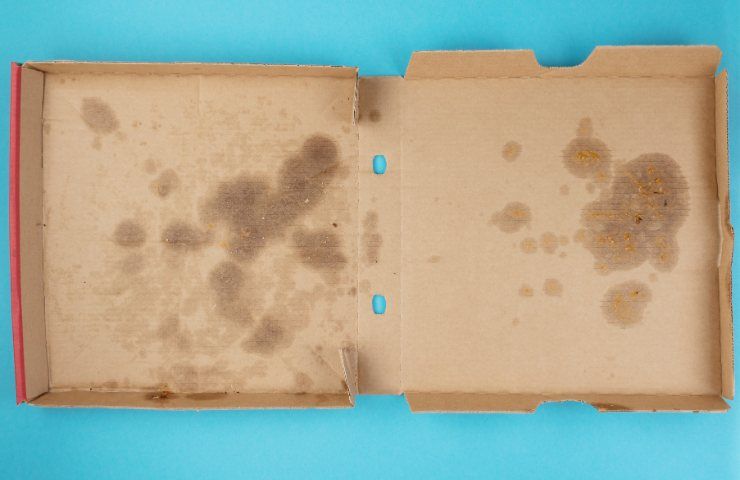 Dove va gettato il cartone della pizza e come riciclarlo in modo corretto
