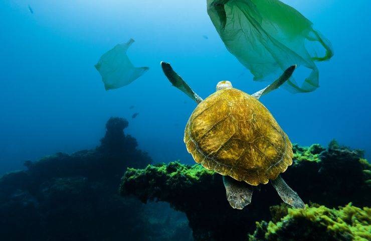 Plastica nei mari