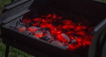 Carbonella tossica sequestrata in Italia, conteneva diossina e idrocarburi: attenzione se devi fare una grigliata