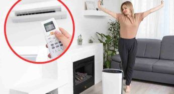 Aria condizionata e deumidificatore, qual é la combo perfetta per risparmiare? La risposta degli esperti per una casa freschissima senza pesare sul portafogli