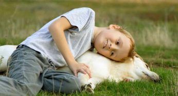 Questa commovente storia di un cucciolo col suo padroncino ha fatto piangere milioni di italiani: impossibile trattenere le lacrime
