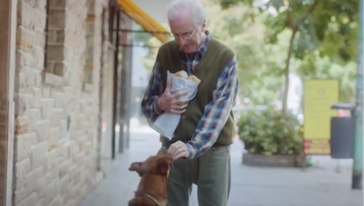 donazione degli organi: un cane fedele protagonista di una pubblicità a sostegno