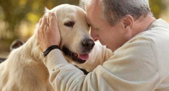 Cosa c’entra un cane con la donazione degli organi? Questo video vi farà commuovere dai primi istanti: ha fatto il giro del mondo