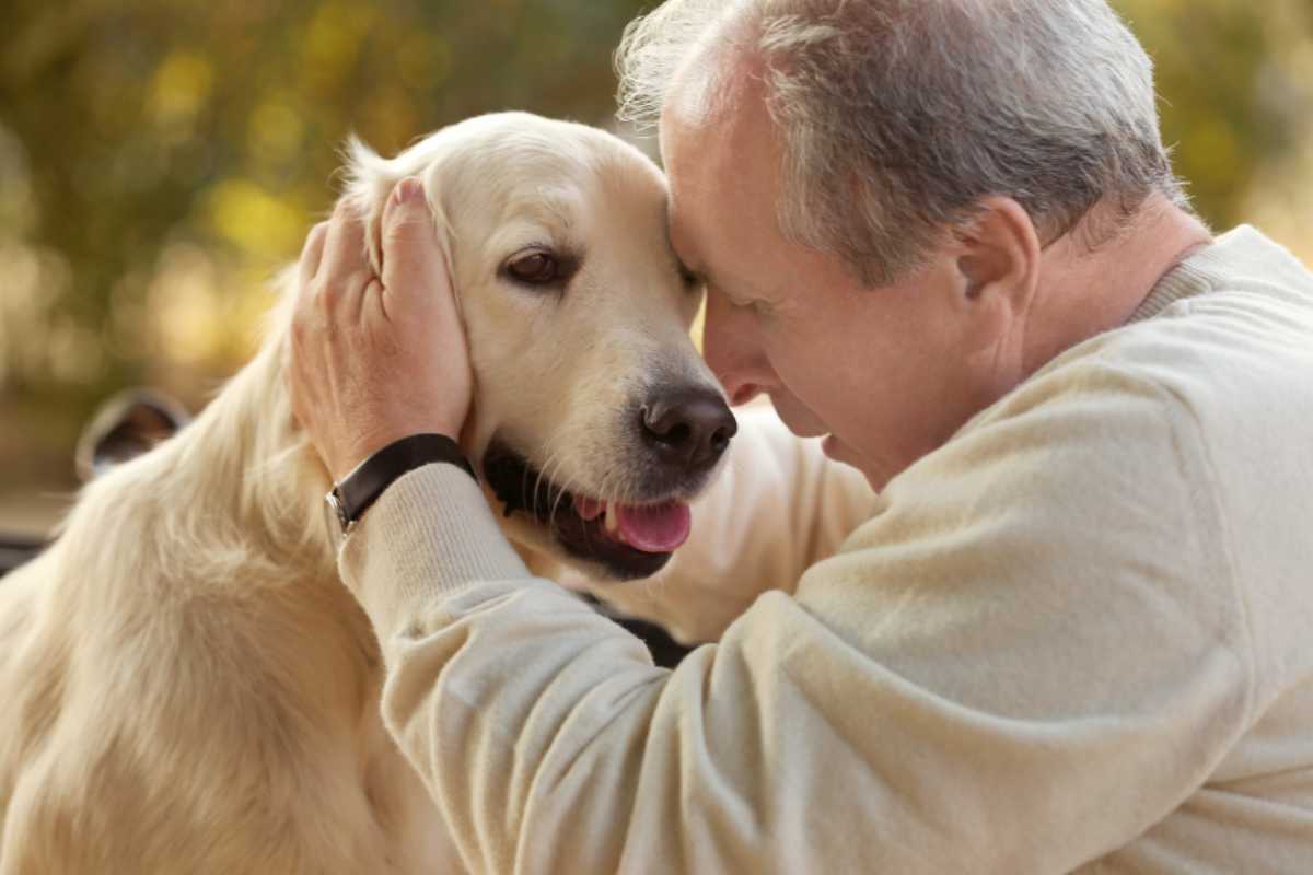 donazione degli organi: lo spot con protagonista un cane fa sciogliere il cuore