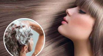 Rosmarino, l’alleato che non ti aspetti per le tue pulizie domestiche: come puoi utilizzarlo