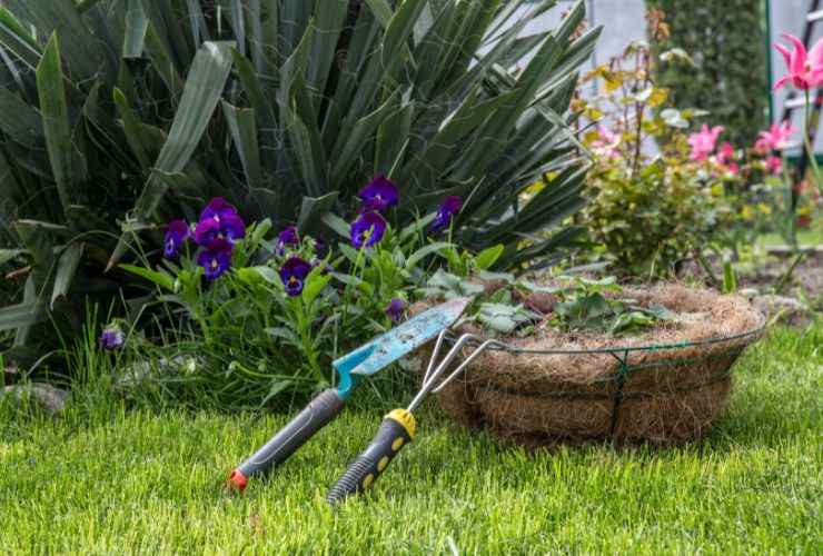 Se hai un giardino devi fare questi lavori