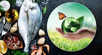 Sostenibilità in tavola: mangiare pesce buonissimo rispettando l’ambiente