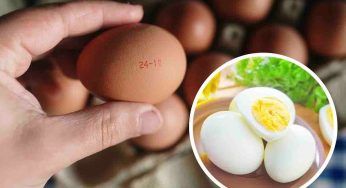 Uova scadute: questo è l’unico segreto per scoprire se sono ancora commestibili