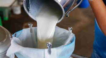 Latte crudo, quali sono i rischi per l’organismo: devi saperlo anche tu