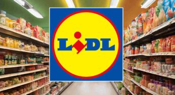 Lidl, il prodotto migliore per le pulizie a meno di 20€: un sogno che si avvera per le casalinghe