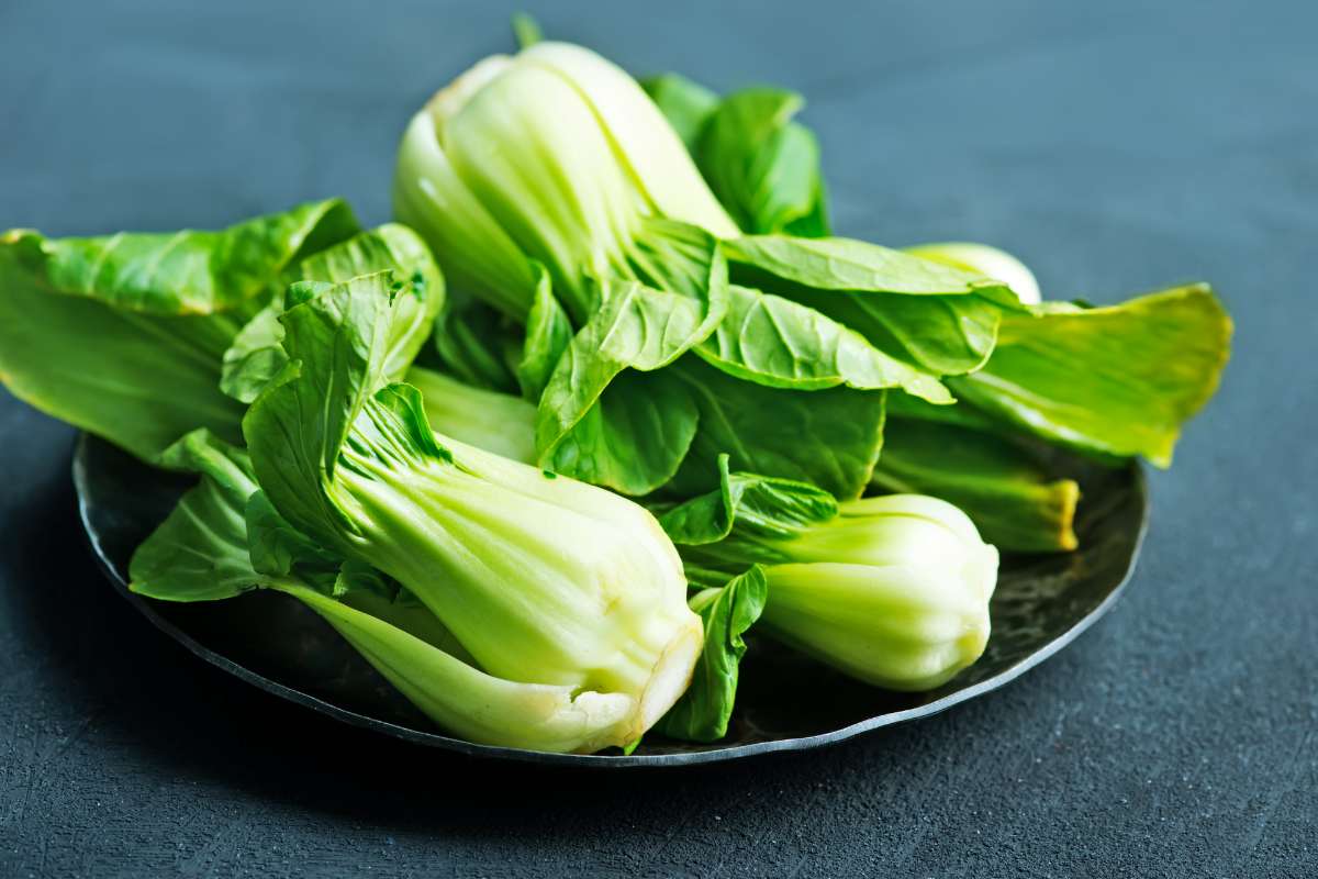 Pak-choi sul piatto